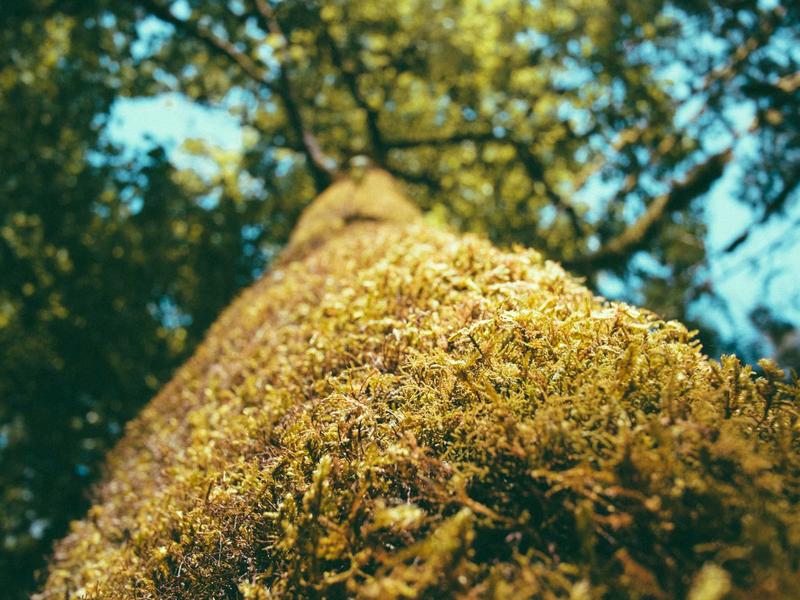 Riot风控限制解除<br>登录异常锁定封禁恢复方案